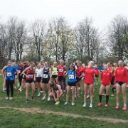 Lauf 6 - Mittelstrecke Frauen